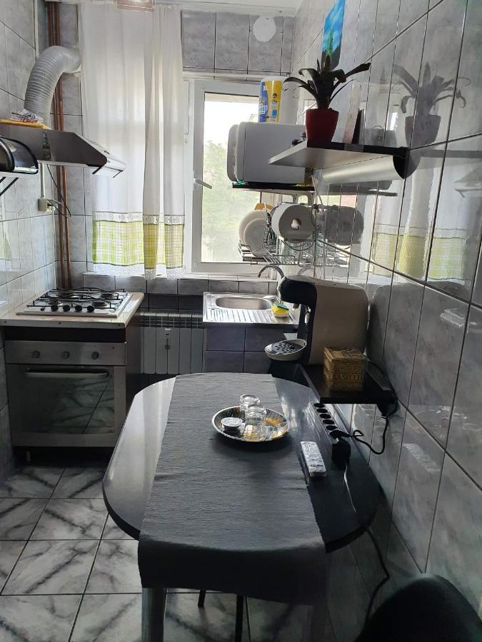 Apartament Cu Regim Hotelier In Dr.Tr. Severin 드로베타 투르누 세베린 외부 사진